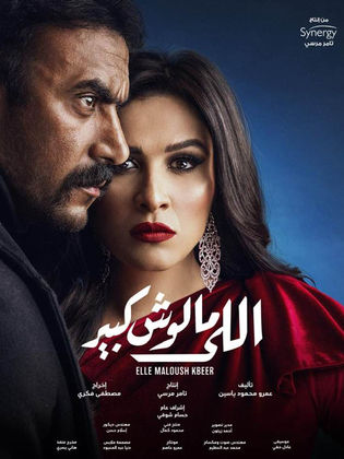 مسلسل اللي مالوش كبير